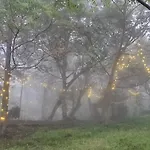 Wilde Troupe - Camping Grounds