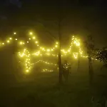 Wilde Troupe - Camping Grounds
