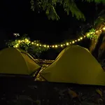 Wilde Troupe - Camping Grounds