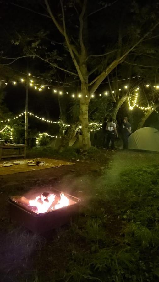 Wilde Troupe - Camping Grounds * Yercaud