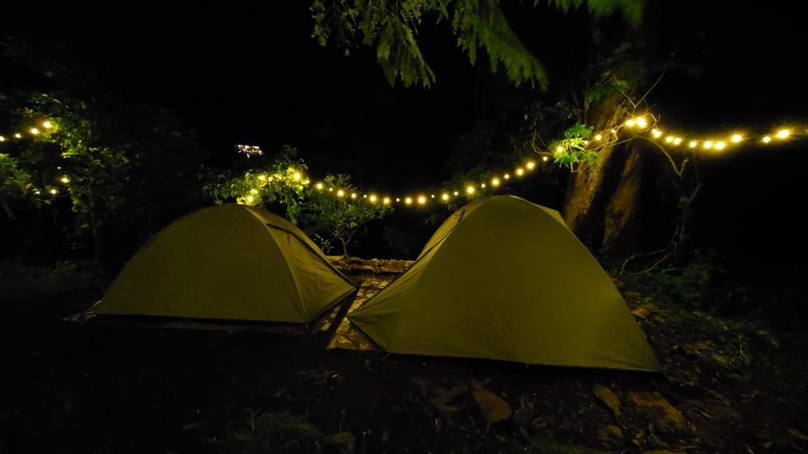 Campsite Wilde Troupe - Camping Grounds