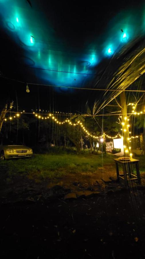 Wilde Troupe - Camping Grounds * Yercaud