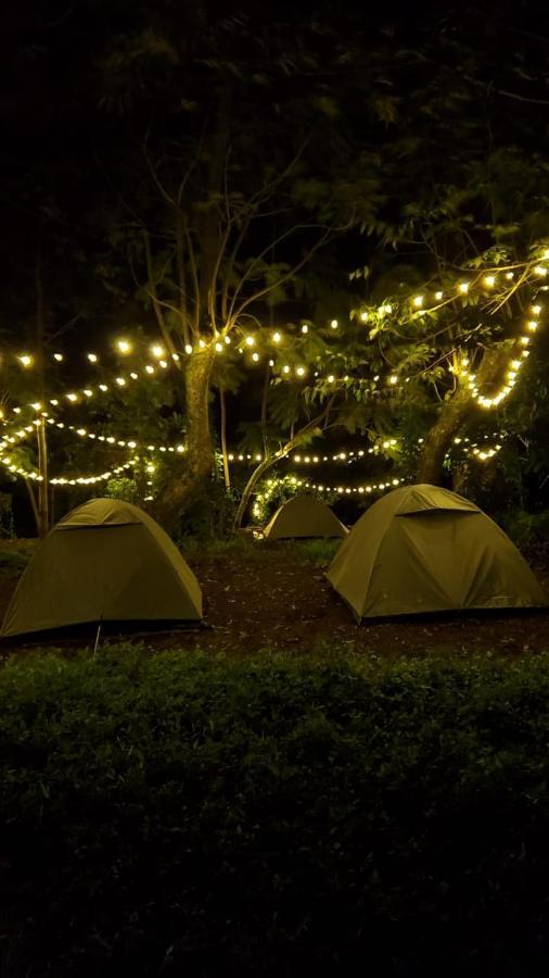 Wilde Troupe - Camping Grounds Campsite Yercaud