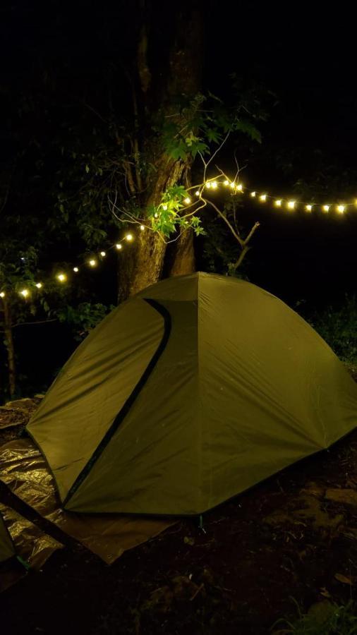 Campsite Wilde Troupe - Camping Grounds