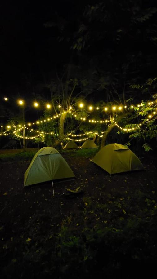 Wilde Troupe - Camping Grounds Yercaud
