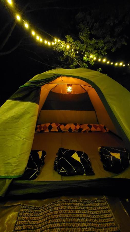 Wilde Troupe - Camping Grounds *