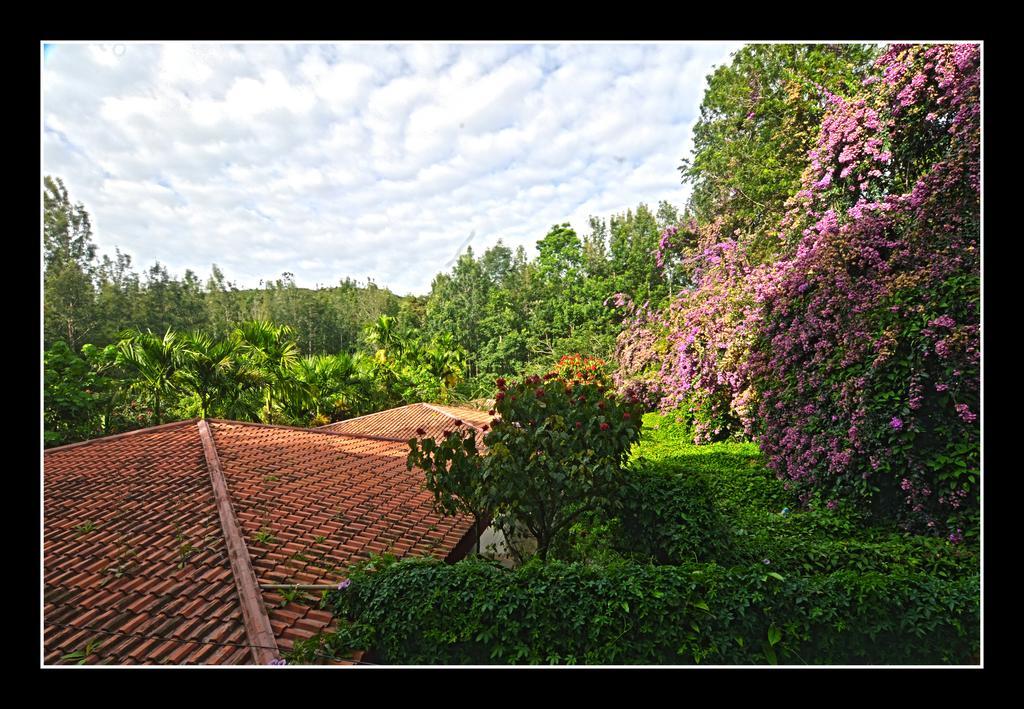 Resort Shevaroys 3*