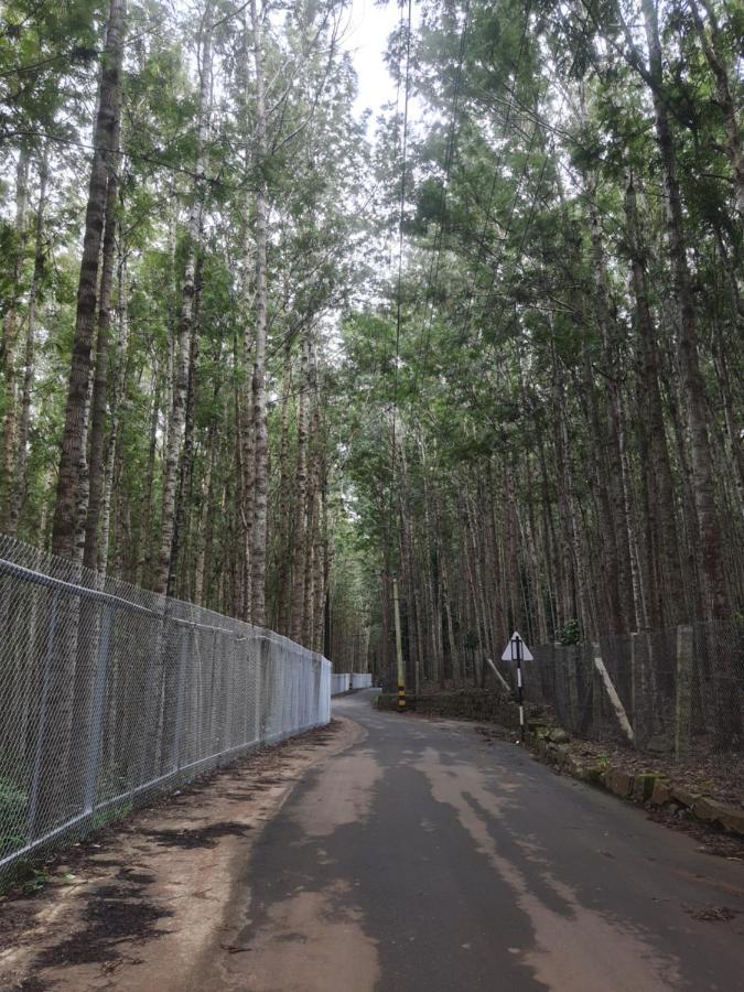 Little Heaven * Yercaud