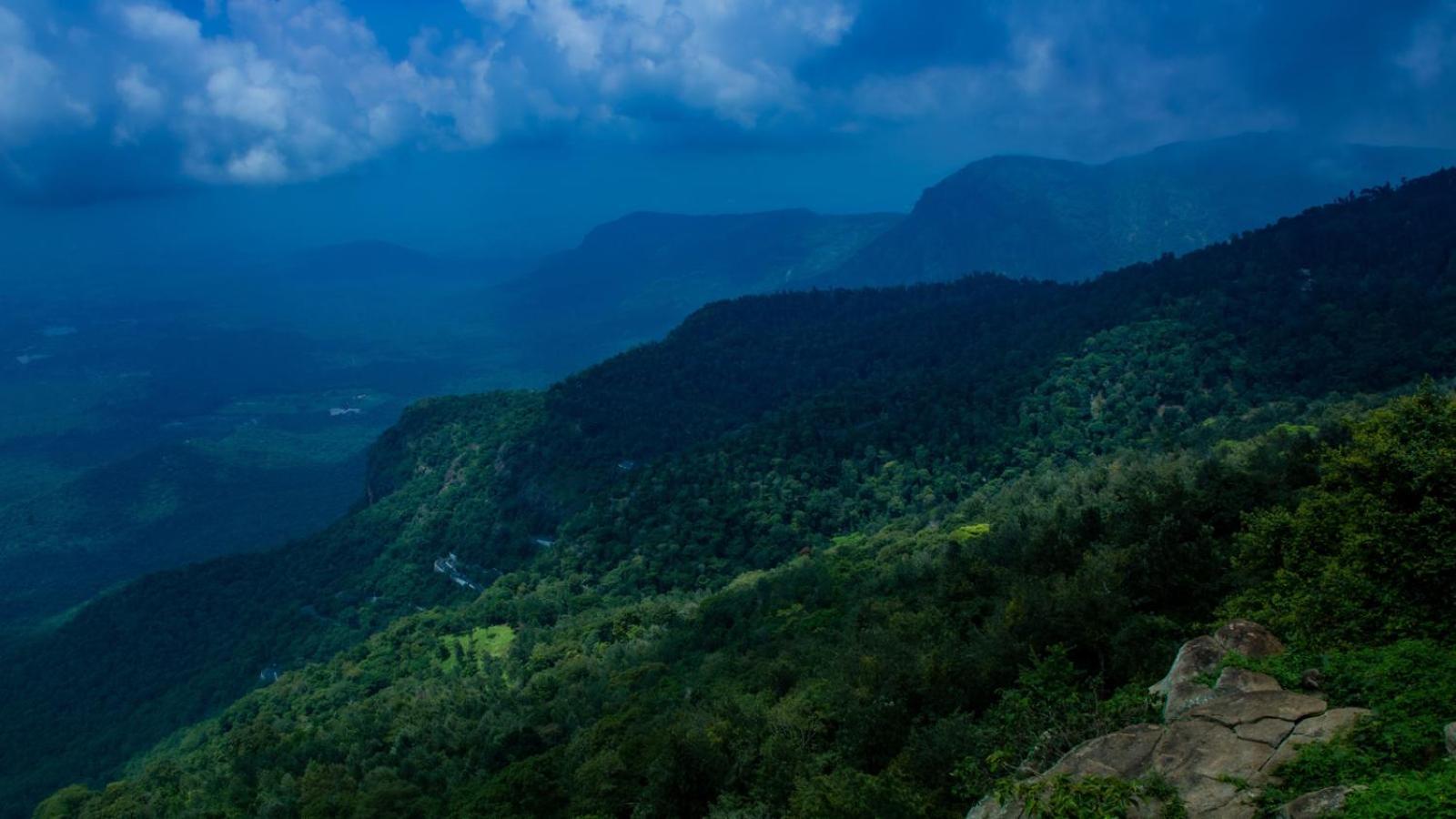 Homestay The Peak View - Escappe Heaven *