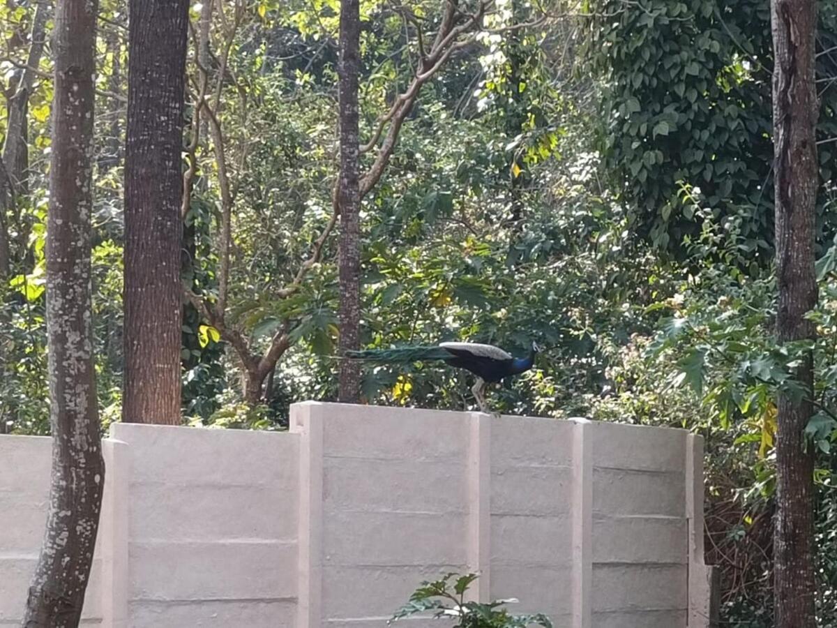 The Alps , Villa Yercaud
