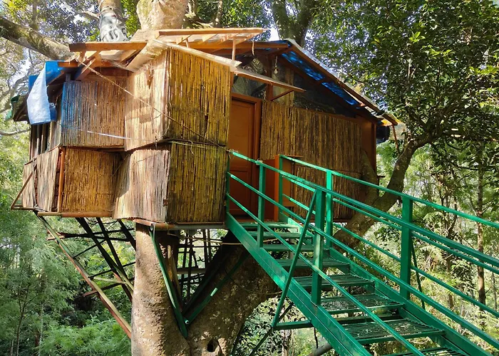 Tipperary Treehouse With Valley View