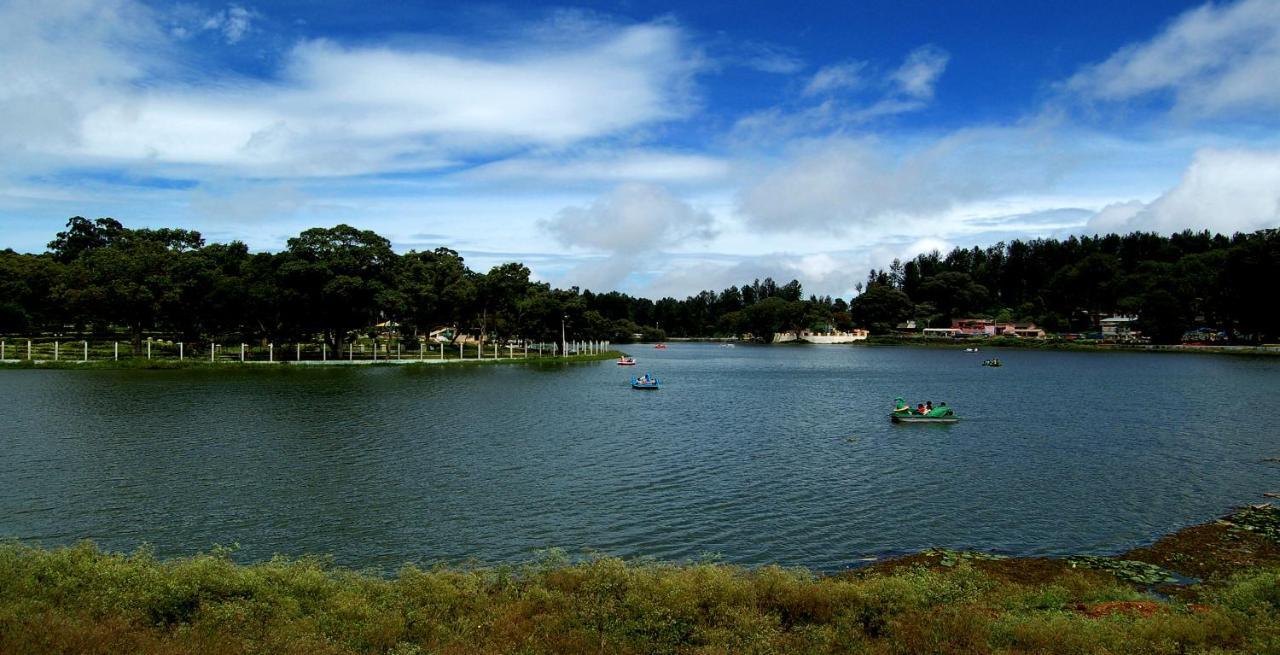 Resort Indeco Forest
