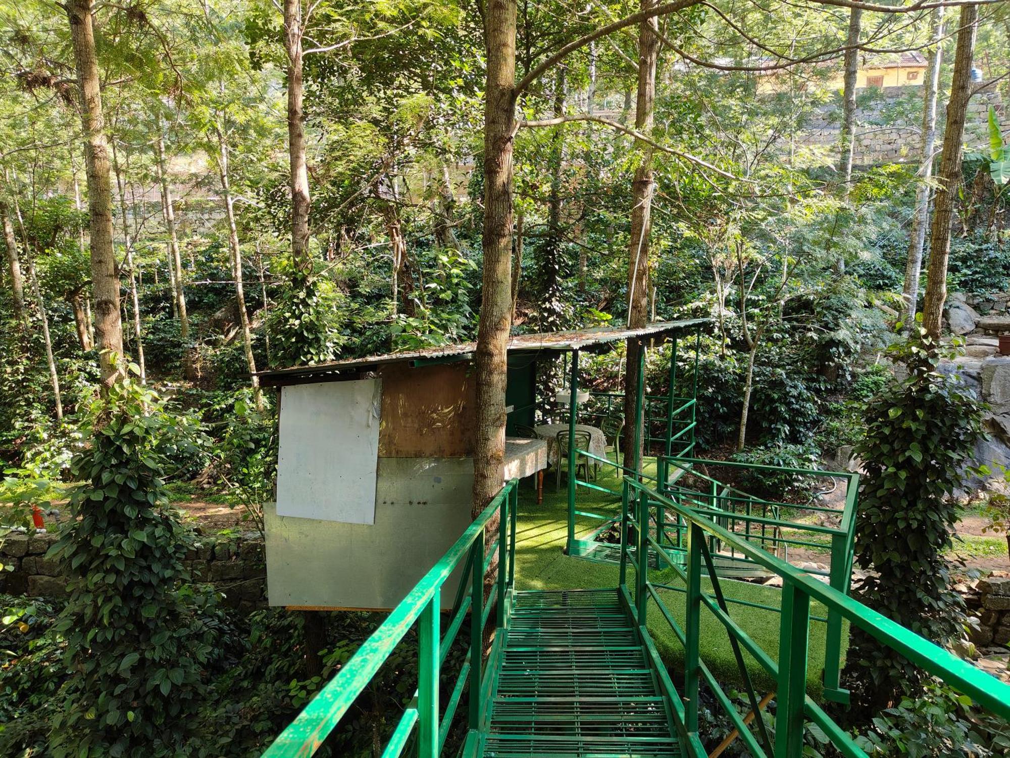 Tipperary Treehouse With Valley View Yercaud