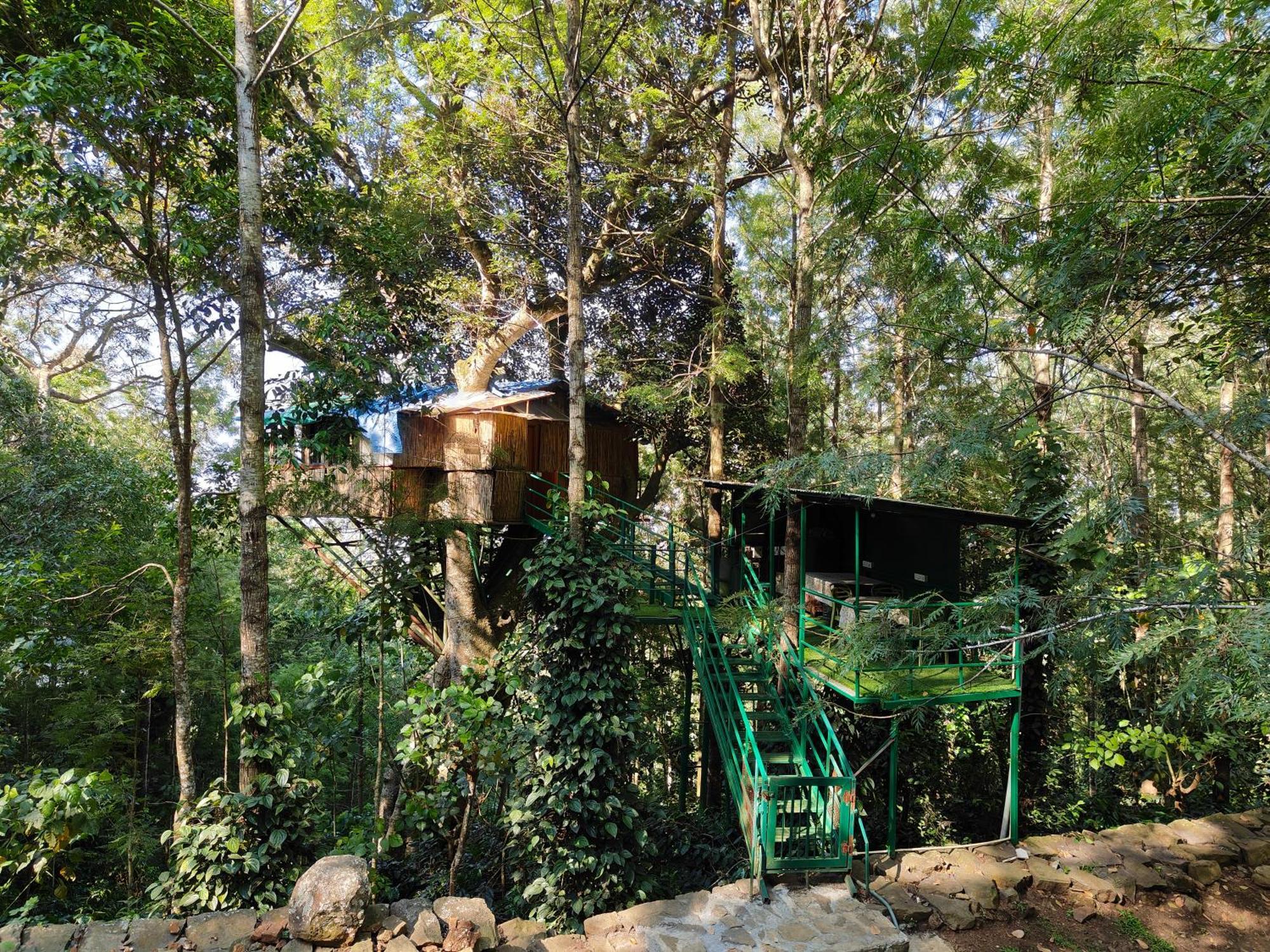 Tipperary Treehouse With Valley View Holiday home
